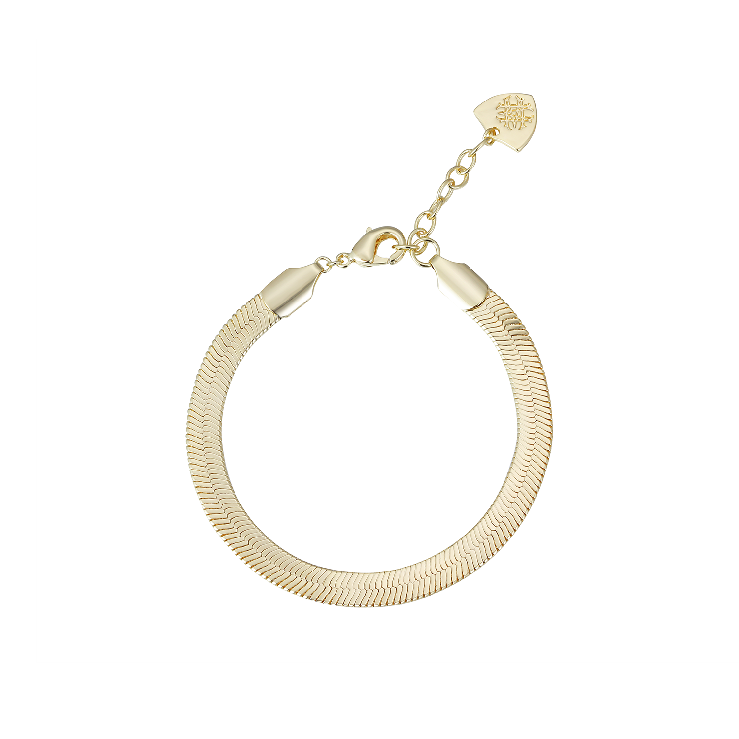 Snake Chain Bracelet
