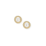 Allure Stud Earrings in Ivory Pearl/Gold