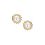 Allure Stud Earrings in Ivory Pearl/Gold